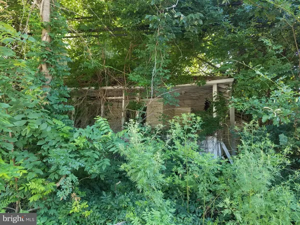 a backyard of a house with lots of green space and lake view