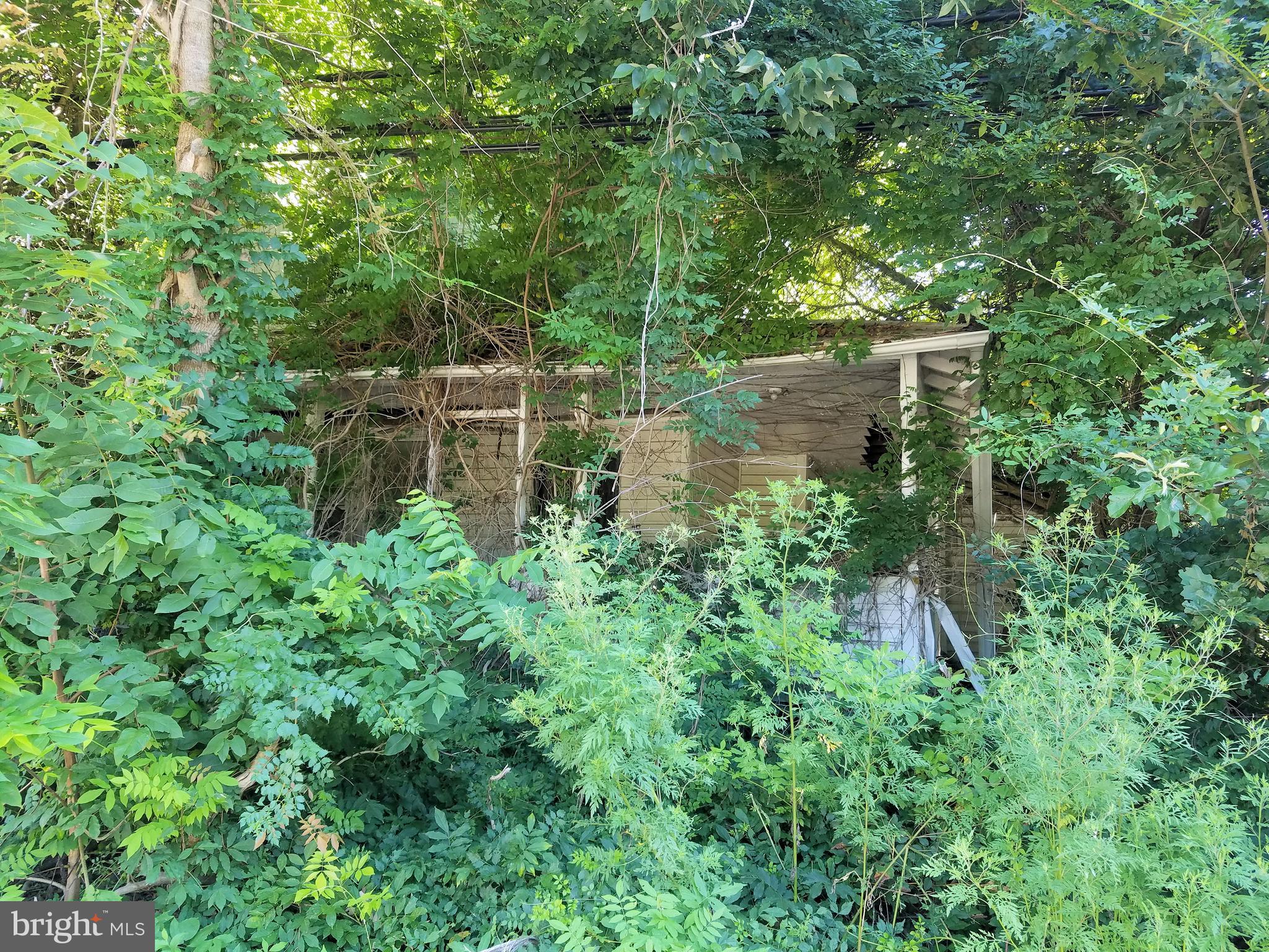 4450 Hawthorne Road Indian Head, MD 20640 - Photo 9 of 17 a backyard of a house with lots of green space and lake view