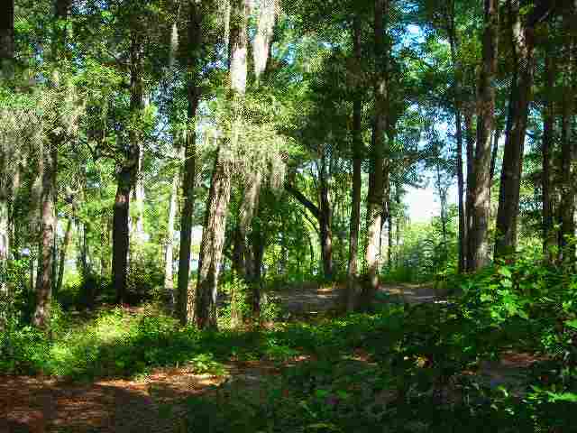 Lot 2 Rice Hope Lane Pawleys Island, SC 29585 - Photo 5 of 5 Gallery Image 5