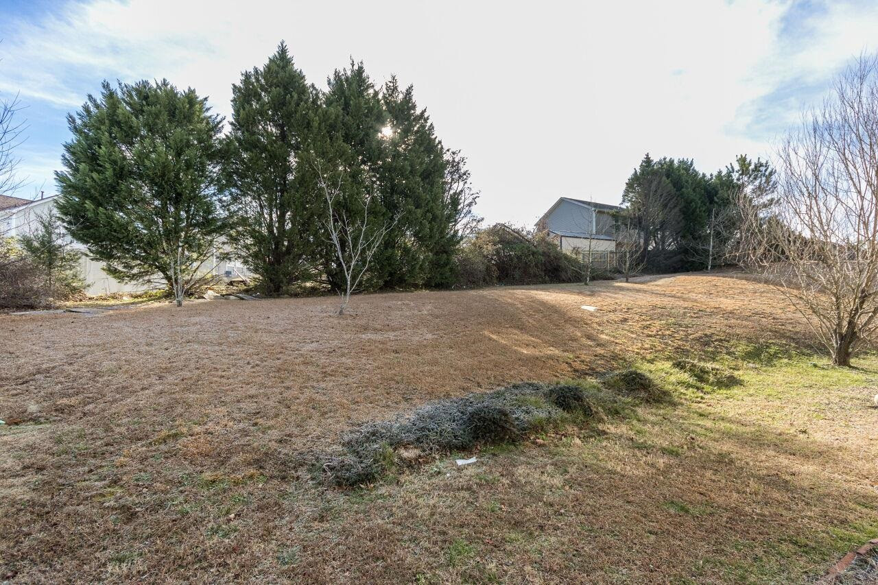 6122 Ricker Road Raleigh, NC 27610 - Photo 20 of 20 Backyard