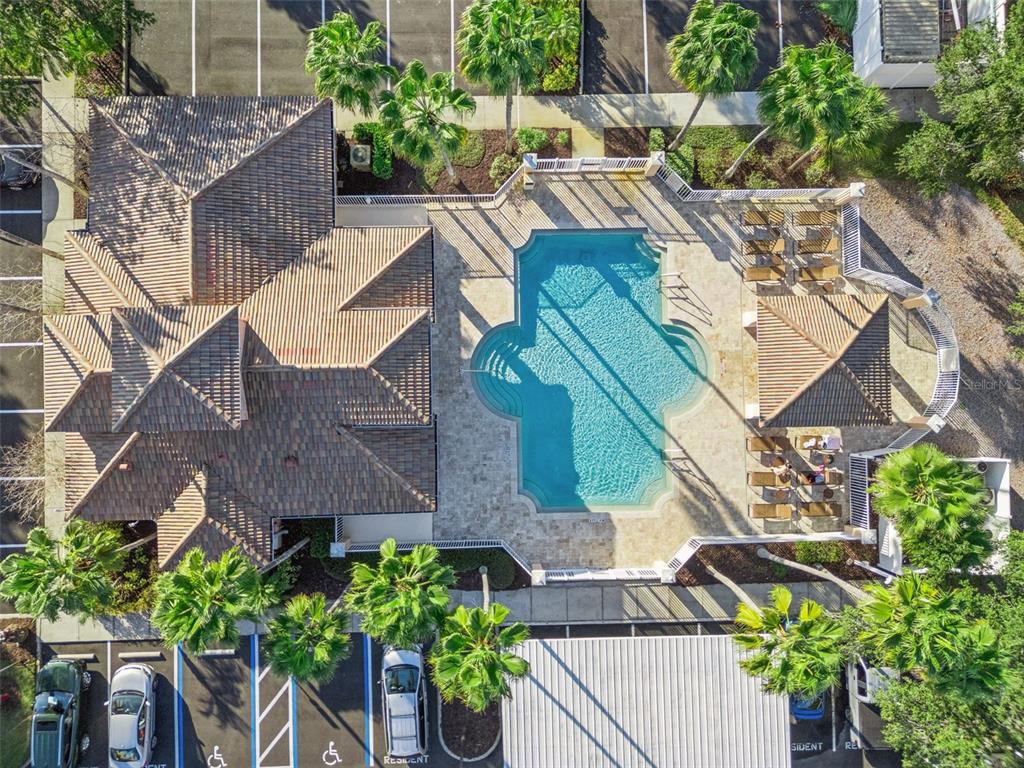 13560 Turtle Marsh Loop, Unit 21 Orlando, FL 32837 - Photo 3 of 30 a view of a house with a yard and potted plants