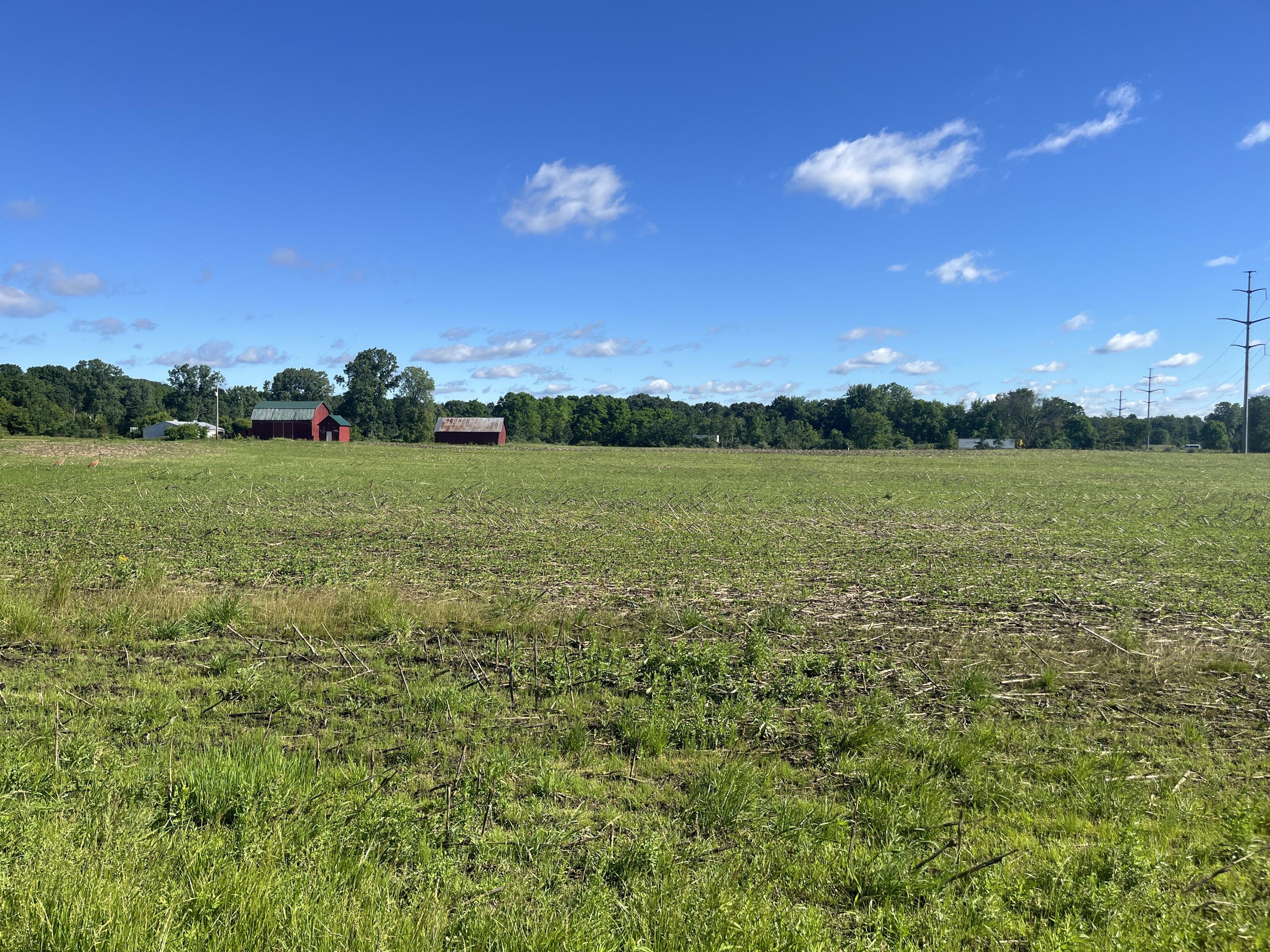 0 Fahrner Road Chelsea, MI 48118 - Photo 14 of 31 Fahrner Rd - 2