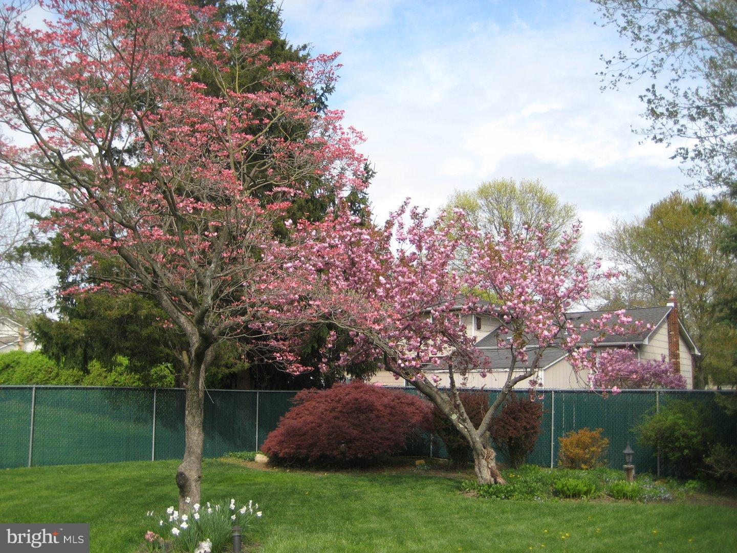 15 Marlon Pond Road Hamilton Square, NJ 08690 - Photo 25 of 25 Back Yard