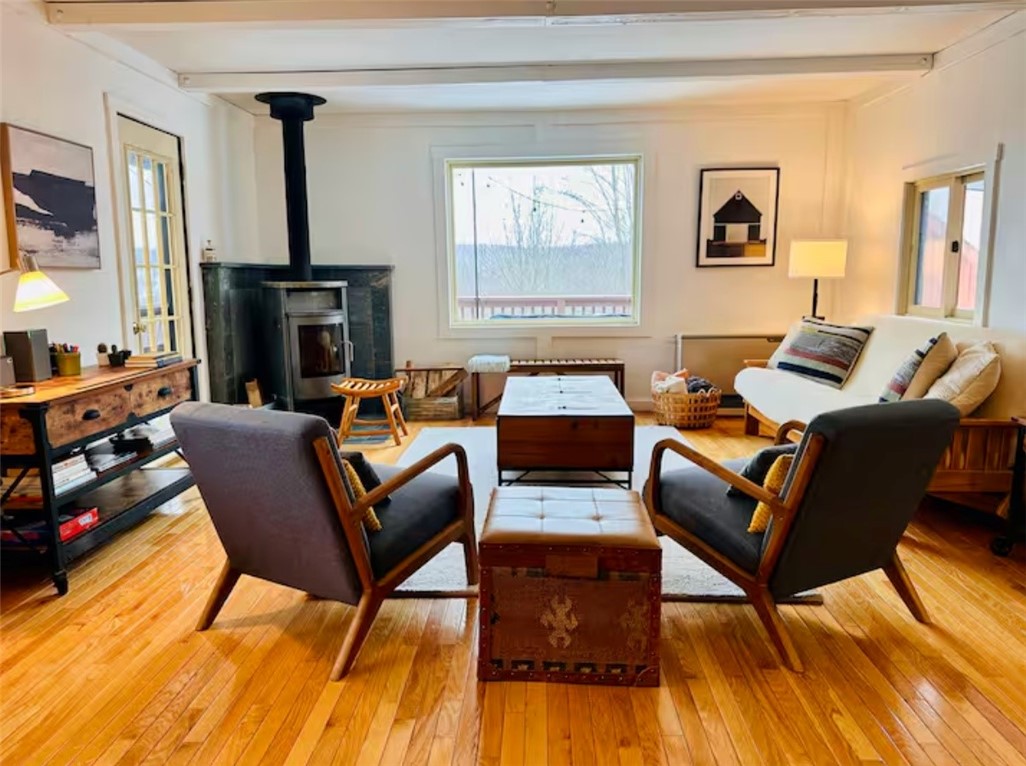 903 Dimmick Mountain Road Denver, NY 12421 - Photo 10 of 43