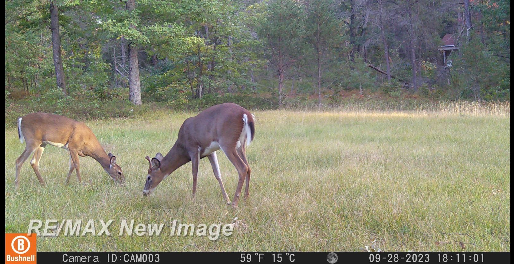 3351 Pipeman Road Harrison, MI 48625 - Photo 20 of 41 Gallery Image 20