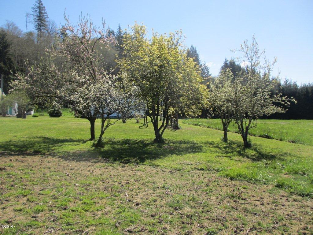 1230 Moonshine Park Road Logsden, OR 97357 - Photo 26 of 34 fruit trees