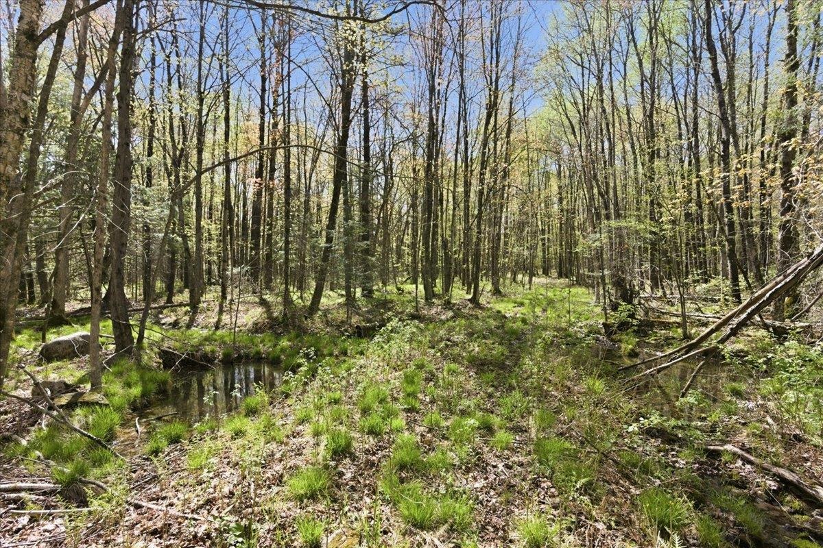 W585 Strucker Road Ogema, WI 54459 - Photo 34 of 55