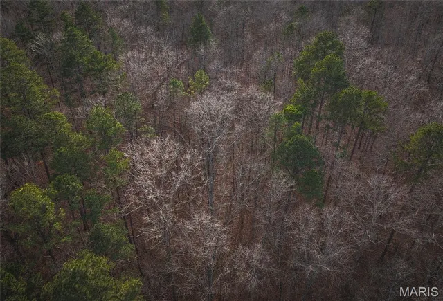 $45,000 | 0 Highway Y Grandin Mo 63935, Doniphan, MO 63935