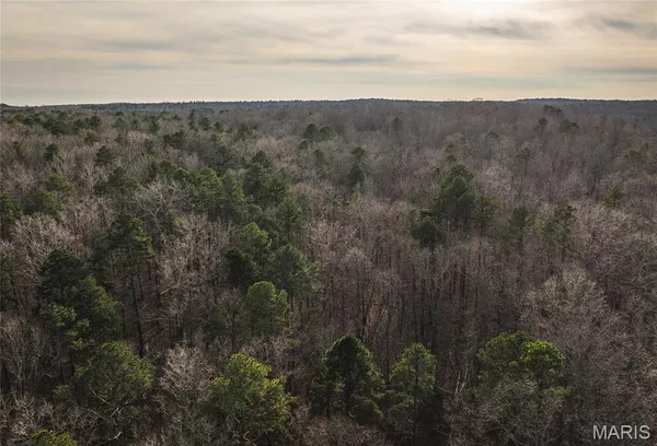 $45,000 | 0 Highway Y Grandin Mo 63935, Doniphan, MO 63935