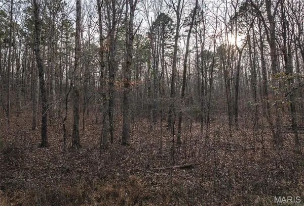 $45,000 | 0 Highway Y Grandin Mo 63935, Doniphan, MO 63935