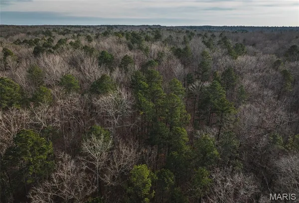 $45,000 | 0 Highway Y Grandin Mo 63935, Doniphan, MO 63935