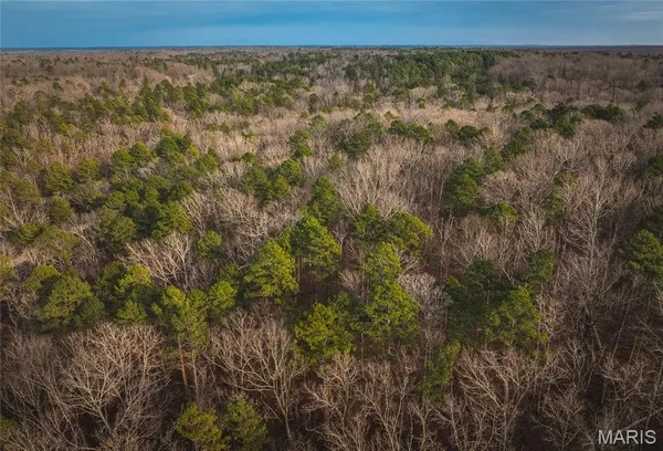 $45,000 | 0 Highway Y Grandin Mo 63935, Doniphan, MO 63935