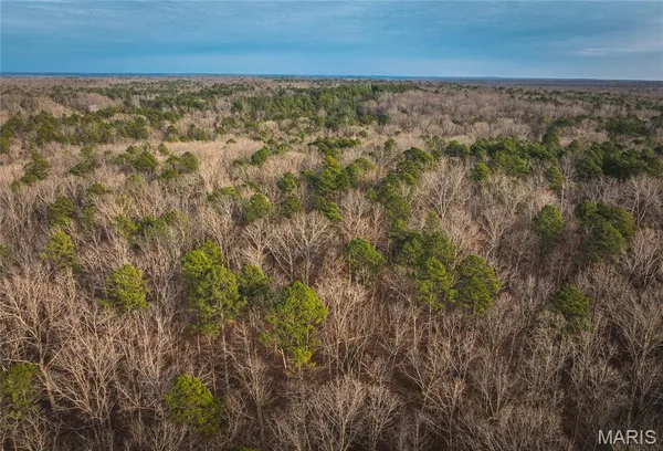 $45,000 | 0 Highway Y Grandin Mo 63935, Doniphan, MO 63935