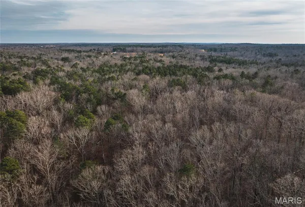 $45,000 | 0 Highway Y Grandin Mo 63935, Doniphan, MO 63935