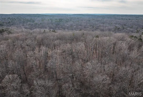 $45,000 | 0 Highway Y Grandin Mo 63935, Doniphan, MO 63935