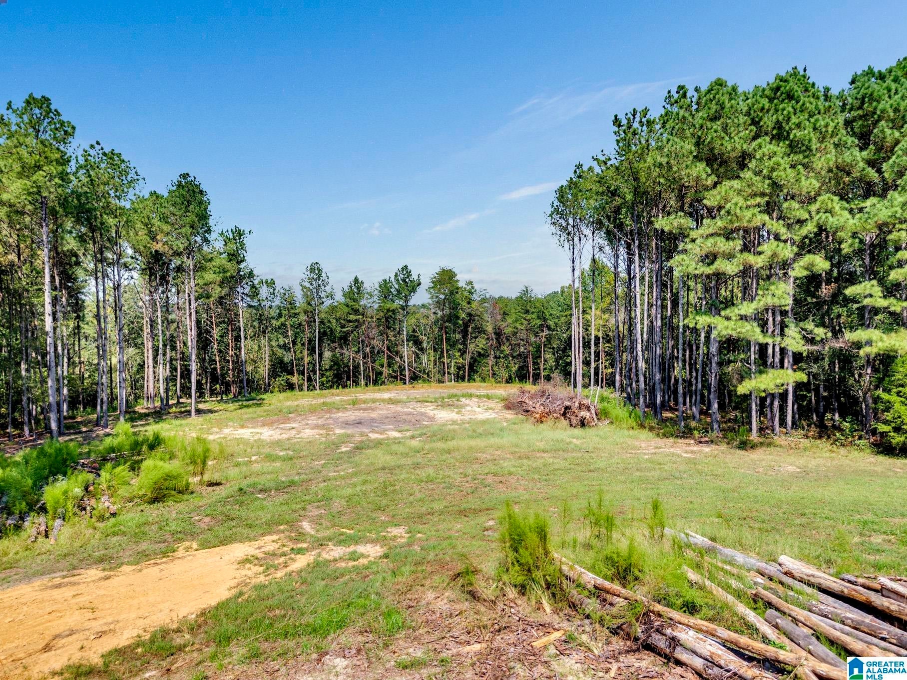 1111 Tim King Road Cleveland, AL 35049 - Photo 24 of 49 Gallery Image 24