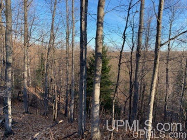Tbd Old Kiln Road Marquette, MI 49855 - Photo 2 of 3 Gallery Image 2