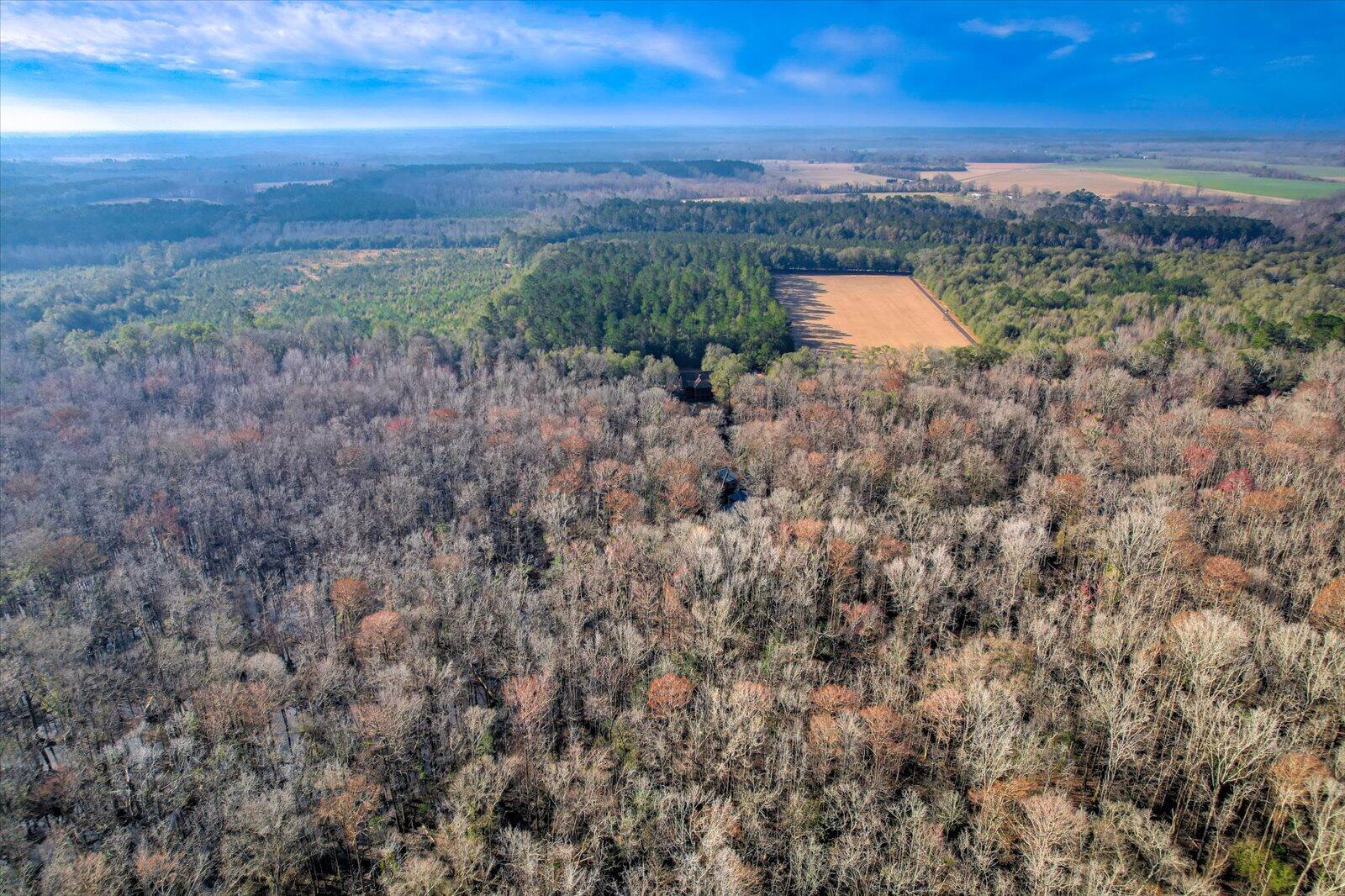 1114 Lott Bluff Road Blackville, SC 29817 - Photo 14 of 164