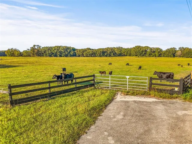 a view of a lake with a big yard