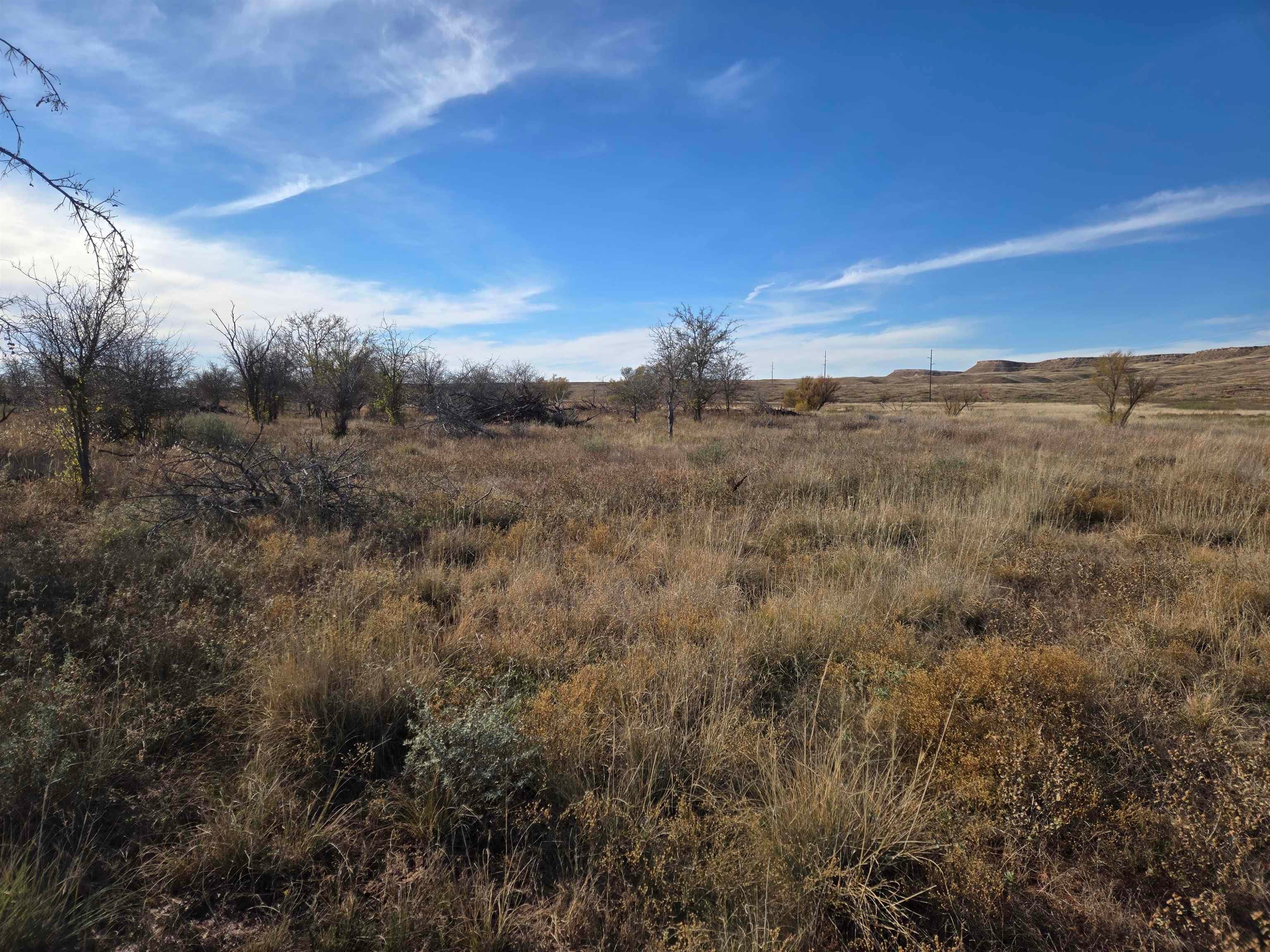 5344 Red Lake Road Taiban, NM 88134 - Photo 71 of 89 Gallery Image 71