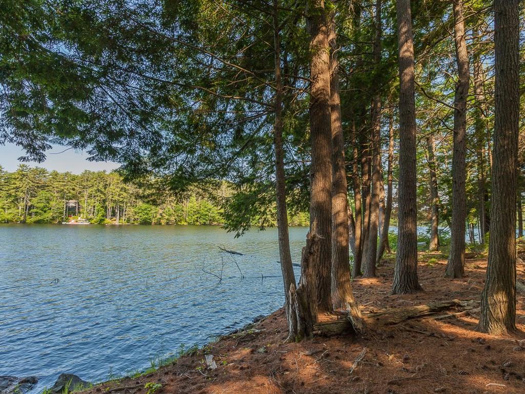 0 Ferry Road Nobleboro, ME 04555 - Photo 9 of 16 Sun dappled pine needle covered land.