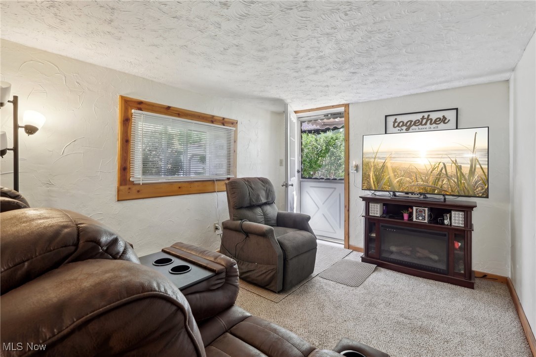 6672 Ross Road Madison, OH 44057 - Photo 43 of 50 Living room with a textured ceiling and carpet