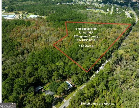 a close up of a plant