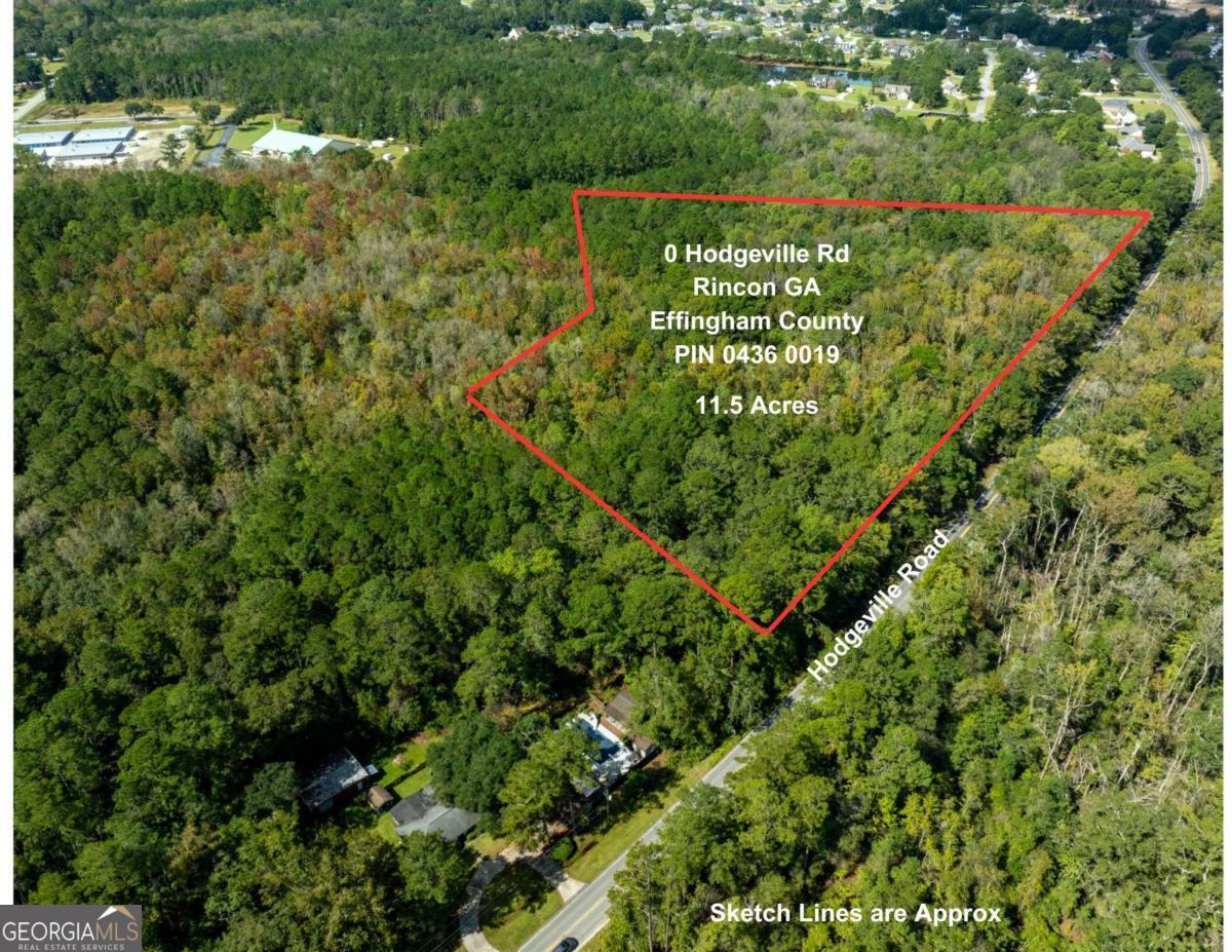 a close up of a plant