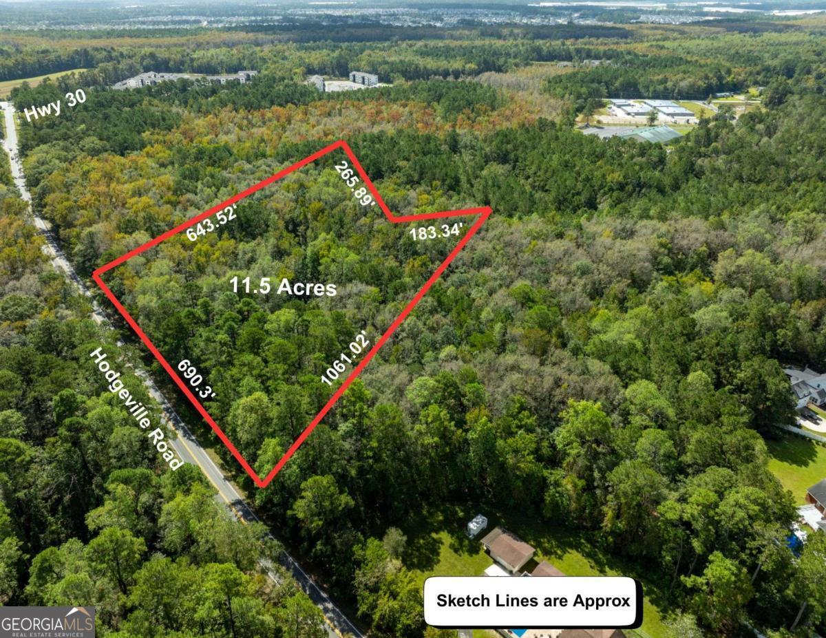 0 Hodgeville Road Guyton, GA 31326 - Photo 2 of 5 a view of a garden with an outdoor space