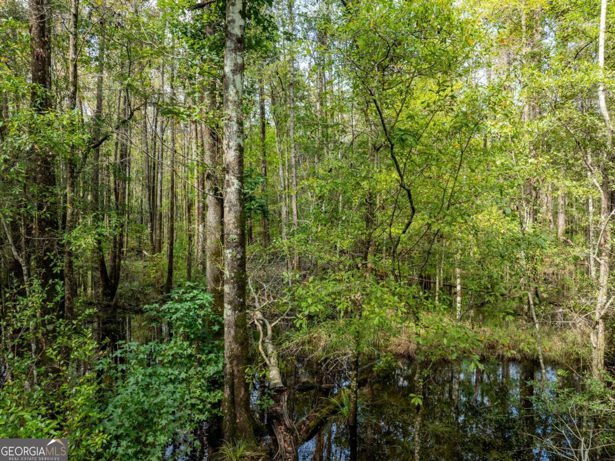 0 Hodgeville Road Guyton, GA 31326 - Photo 3 of 5 a view of a yard with plants and wooden fence