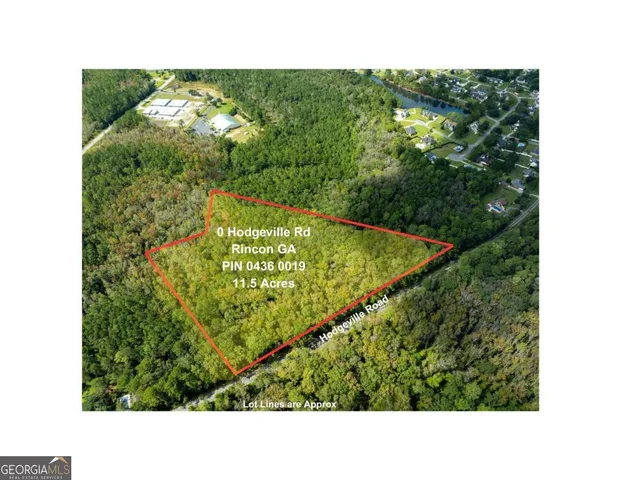 a black and white photo of a garden