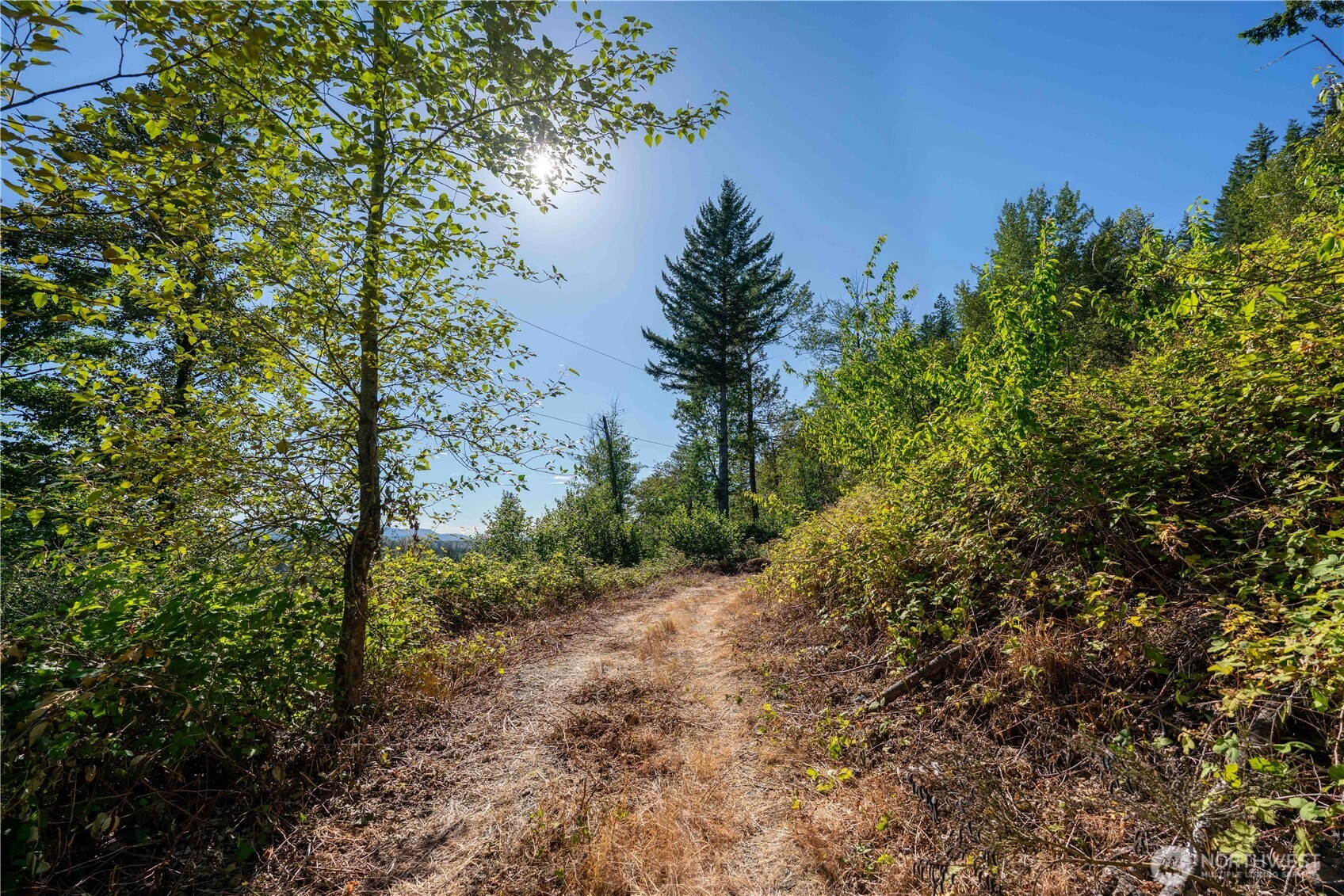 14405 Whiteman Road Gold Bar, WA 98251 - Photo 13 of 37