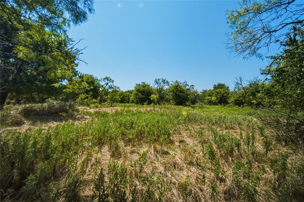480-acres Tucker Road Perrin, TX 76486 - Photo 12 of 40 Gallery Image 12