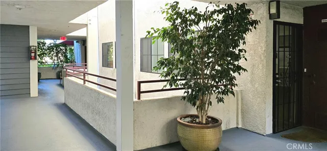 a potted plant sitting in front of a house