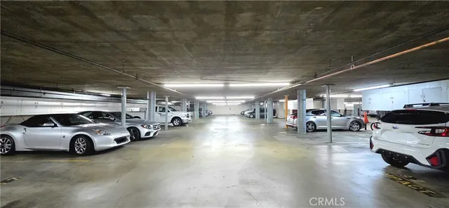 a view of a backyard with plants and a garden