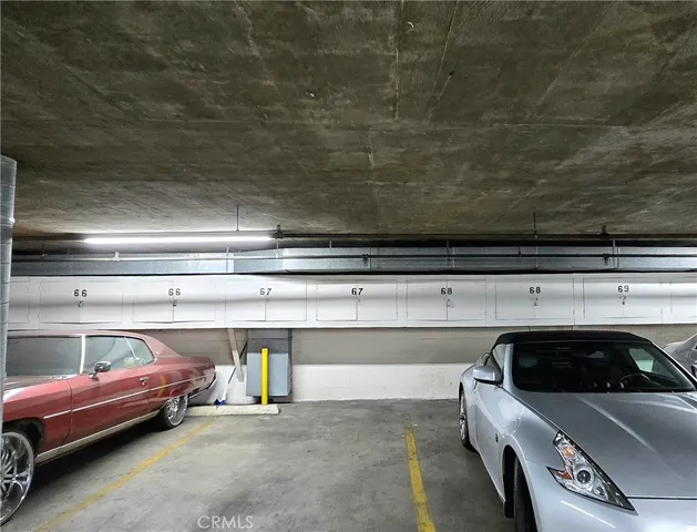 a view of a yard with plants and large trees