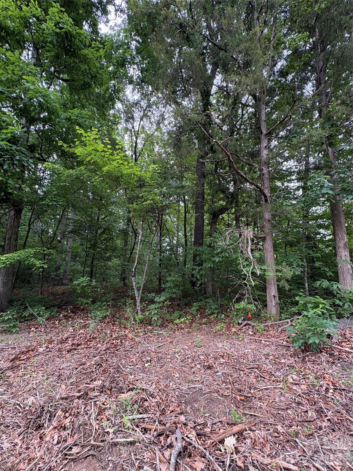 12349 Hartwood Road Midland, NC 28107 - Photo 3 of 5 Gallery Image 3