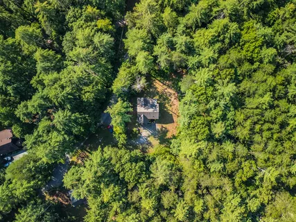 a view of a lush green forest with trees and some houses