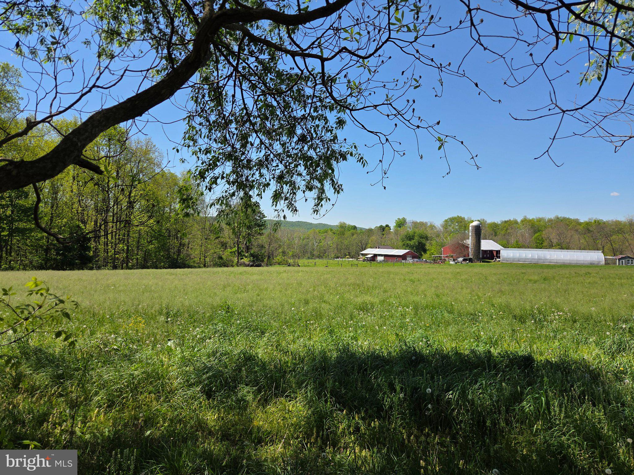 1010 Adams Grove Road Blain, PA 17006 - Photo 74 of 92 Serene countryside under blue skies.