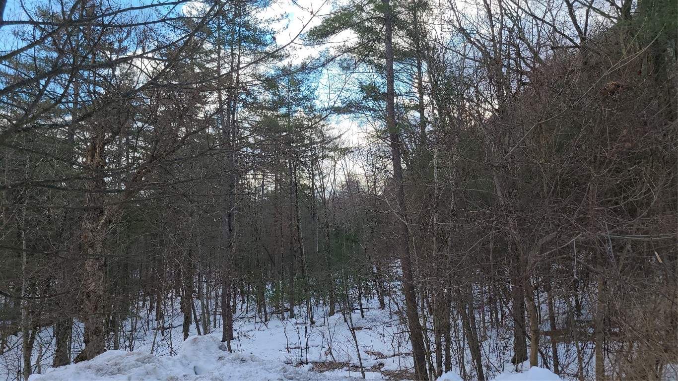 Lot 2 Gee Brook Road Cincinnatus, NY 13040 - Photo 1 of 3