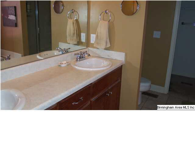 220 Turkey Trail Road Odenville, AL 35120 - Photo 9 of 21