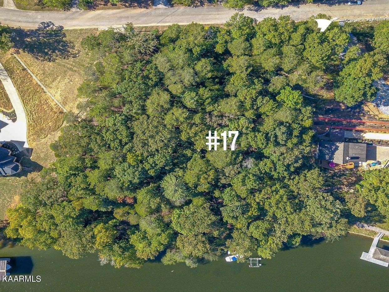 17 Blackberry Ridge Road Lenoir City, TN 37772 - Photo 12 of 20 Gallery Image 12