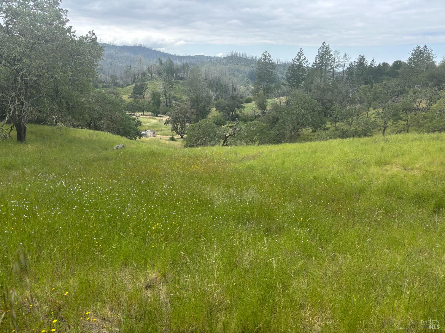 6971 St Helena Road Santa Rosa, CA 95404 - Photo 32 of 34