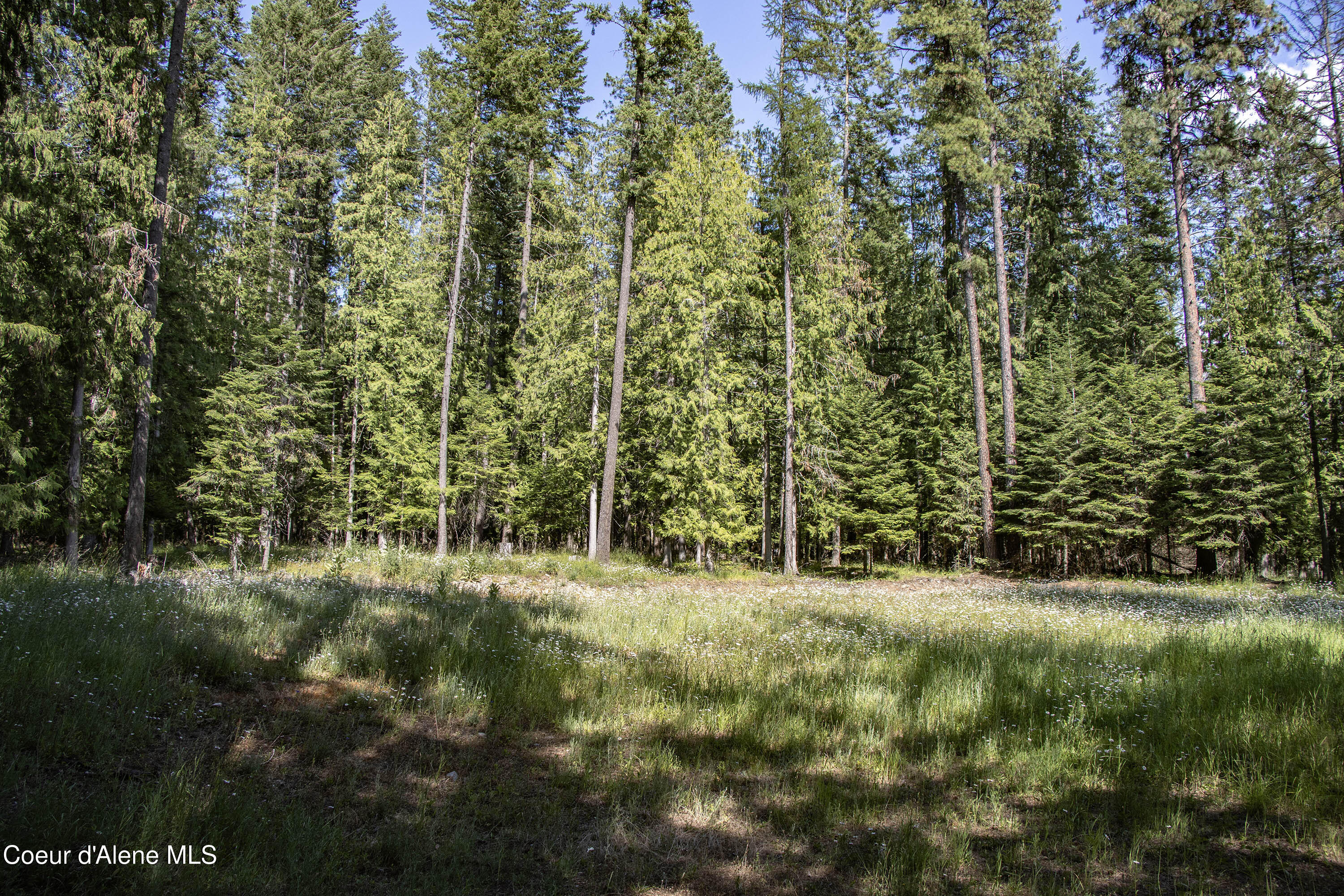 965 Denton Road Hope, ID 83836 - Photo 41 of 55 Wild Flower Field