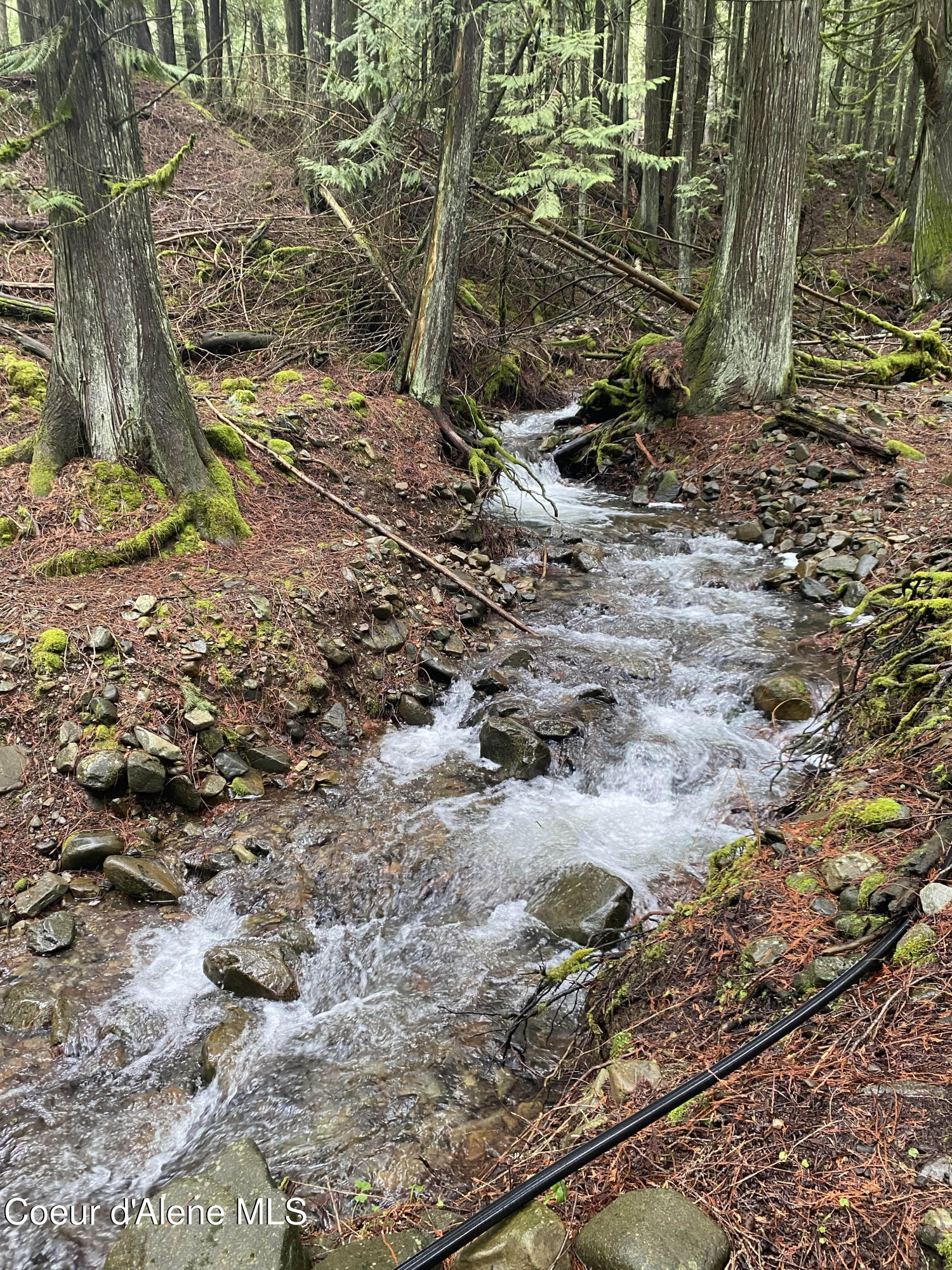 965 Denton Road Hope, ID 83836 - Photo 44 of 55 IMG_9554