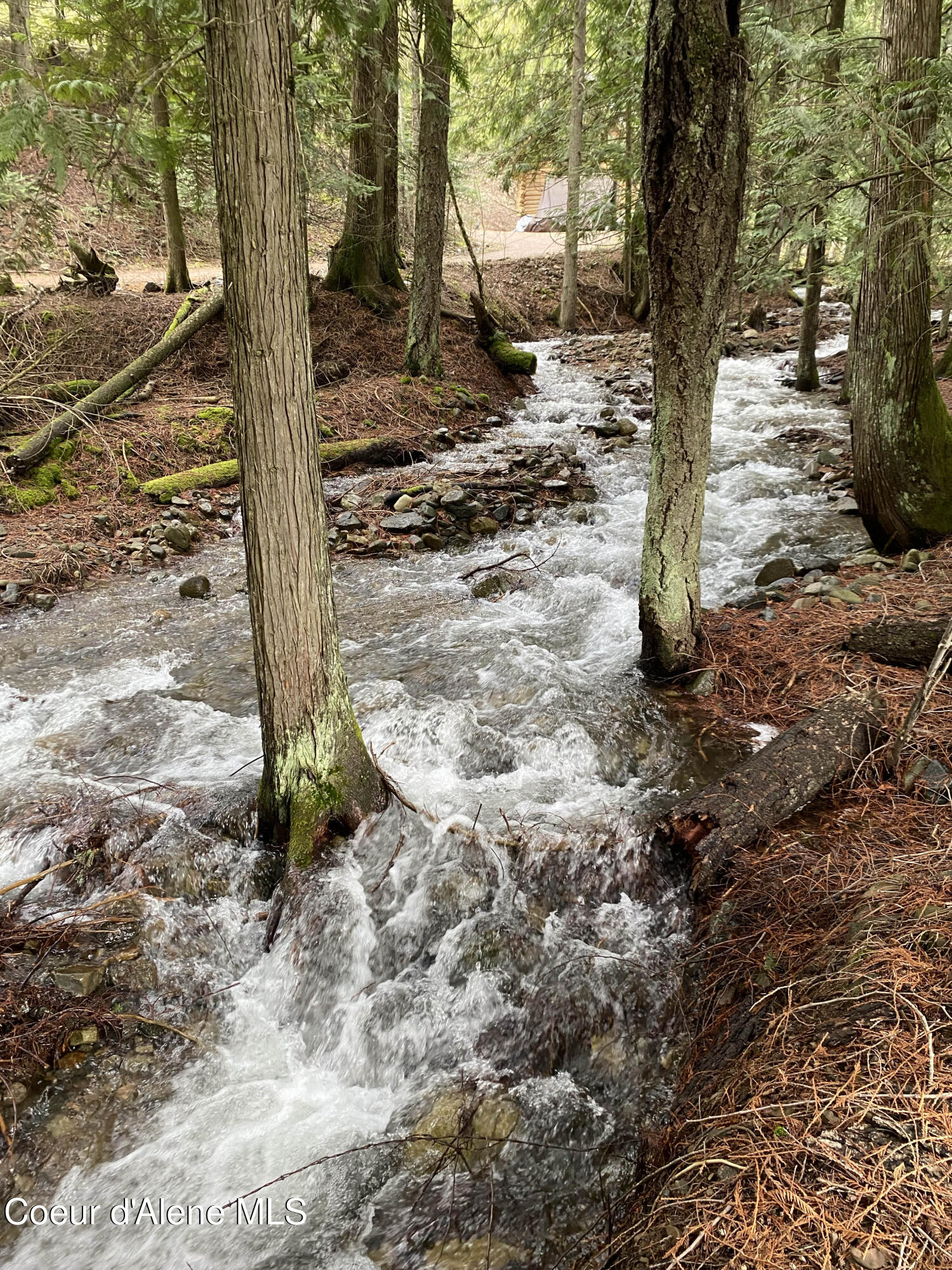 965 Denton Road Hope, ID 83836 - Photo 48 of 55 IMG_9593