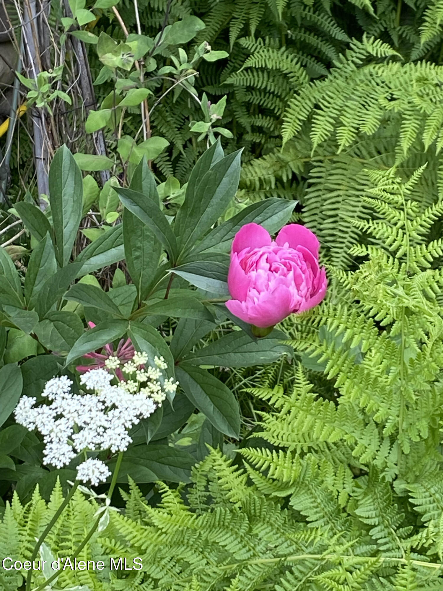 965 Denton Road Hope, ID 83836 - Photo 50 of 55 IMG_9877