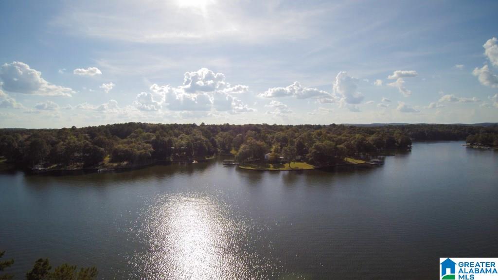 289 Pleasure Point Wedowee, AL 36278 - Photo 26 of 28