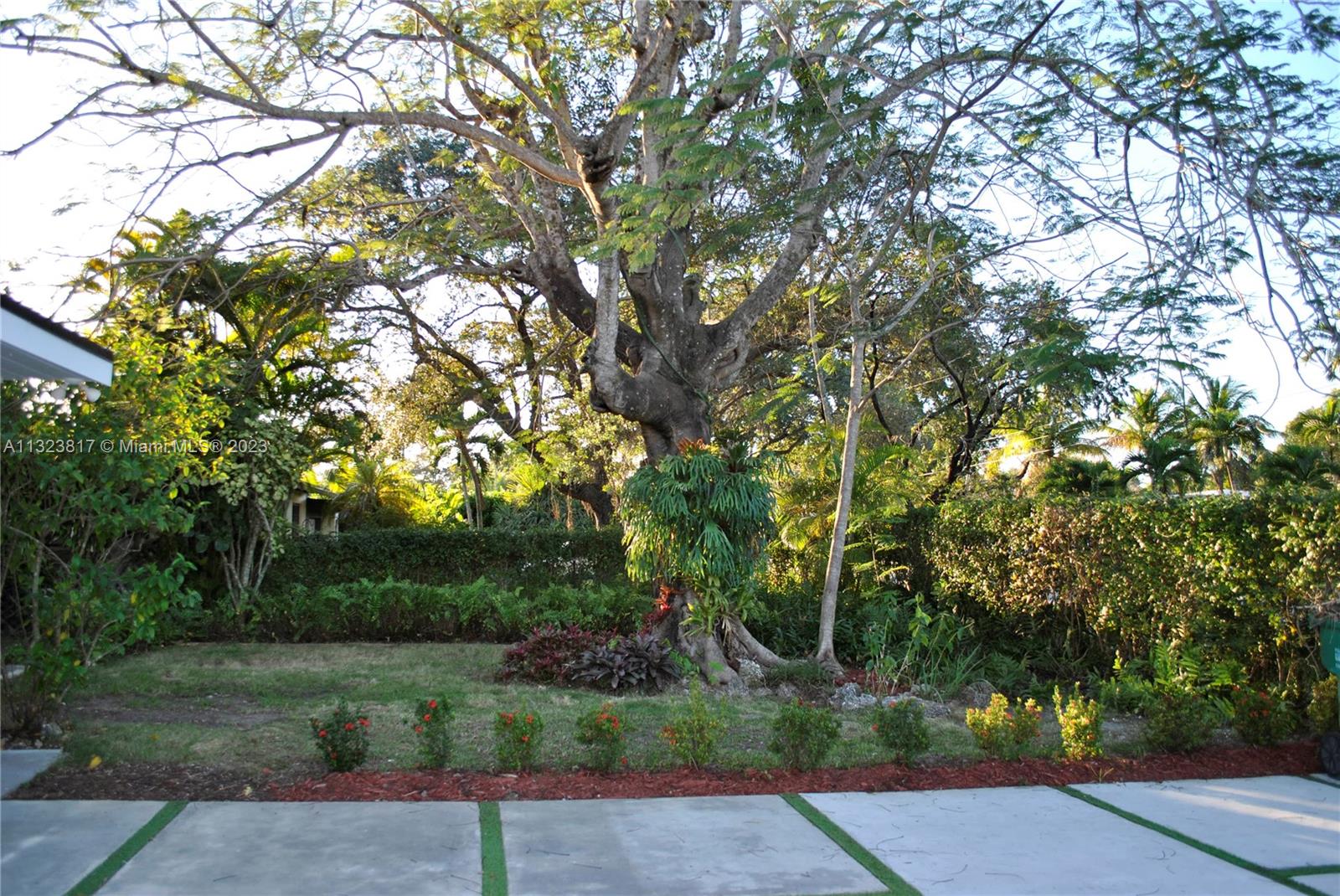 8540 Southwest 124th Street Miami, FL 33156 - Photo 21 of 22 a view of a street with a tree