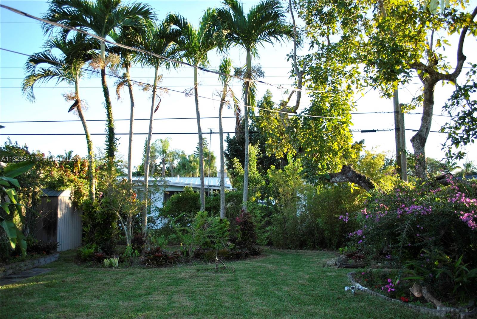 8540 Southwest 124th Street Miami, FL 33156 - Photo 22 of 22 a view of a garden